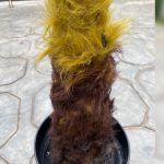 Artificial Fern Tree Plant – Enhance Your Space with Life-like Elegance