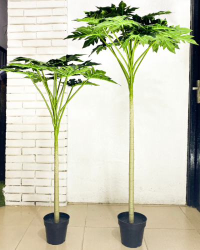 Buy Artificial Papaya Plant in Nigeria - Pawpaw Tree Wholesale Price