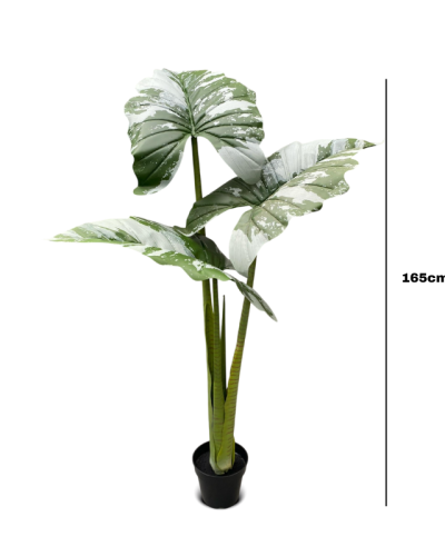 Artificial Alocacia(CocoYam) Tree Plants - 165cm
