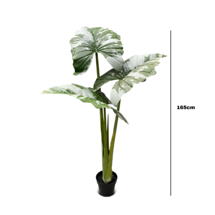 Artificial Alocacia(CocoYam) Tree Plants - 165cm