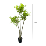 Artificial Elm Tree Plant - 160cm