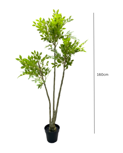 Artificial Elm Tree Plant - 160cm