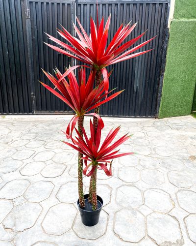 Artificial Agave Tree Plant - 140cm