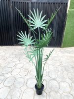 Artificial Palm Tree Plants- 160cm