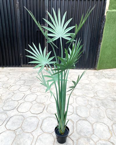 Artificial Palm Tree Plants- 160cm