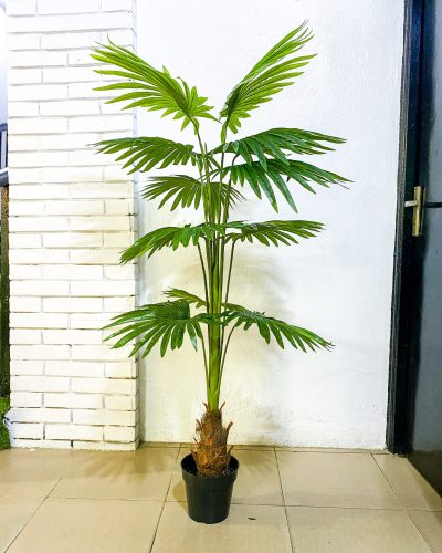 Artificial Mesh Fan Palm Tree Plants - 160cm
