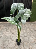 Artificial Alocacia(CocoYam) Tree Plants - 165cm