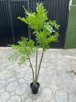 Artificial Elm Tree Plant - 160cm