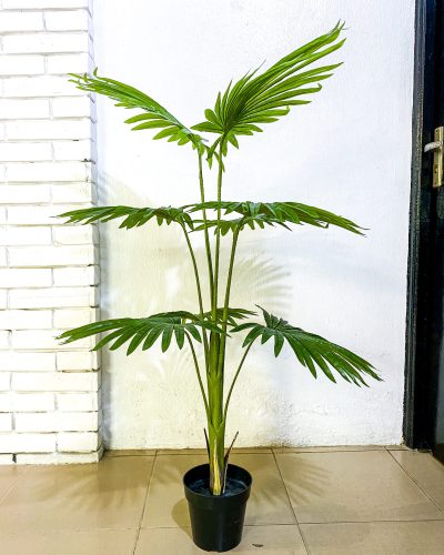 Artificial Fan Palm Plant Tree - 130cm