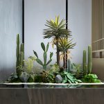 Indoor Landscaping Design