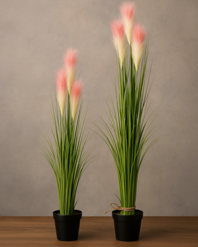 reed Plant