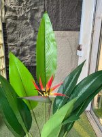 Chic Three Stems Paradise Bird Plant – 122cm Decorative Faux Plant with Single Bloom - Image 2