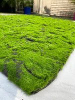 Moss Wallmat Panels |Artificial Moss Wallmat For Decor