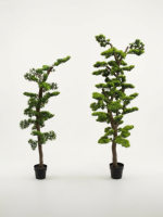 Artificial Bonsai Trees 150cm & 180cm | Luxury Indoor Decorative Plants in Nigeria