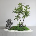 Elegant Indoor Landscaping Design with Decorative Custom Stones – Custom Sizing for Homes, Offices & Hotels - Image 6