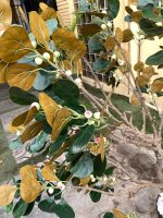 Artificial Bodhi Tree 150cm & 200cm | Luxury Indoor Decorative Tree in Nigeria - Image 5