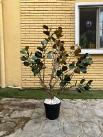 Artificial Bodhi Tree 150cm & 200cm | Luxury Indoor Decorative Tree in Nigeria - Image 2