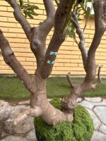 Artificial Olive Tree 200cm | Luxury Tall Indoor Decor in Nigeria - Image 3