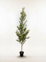 Artificial Olive Tree 180cm | Luxury Indoor Decorative Plant in Nigeria