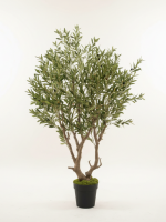 Artificial Olive Tree 200cm | Luxury Tall Indoor Decor in Nigeria