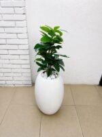 Artificial Mini Plants in Fiberglass Vase 95cm with White Pebble Stones | Modern Indoor Décor Nigeria - Image 2