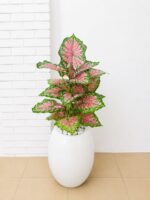 Artificial Mini Plants in Fiberglass Vase 95cm with White Pebble Stones | Modern Indoor Décor Nigeria - Image 5