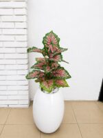 Artificial Mini Plants in Fiberglass Vase 95cm with White Pebble Stones | Modern Indoor Décor Nigeria - Image 10