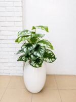 Artificial Mini Plants in Fiberglass Vase 95cm with White Pebble Stones | Modern Indoor Décor Nigeria - Image 14