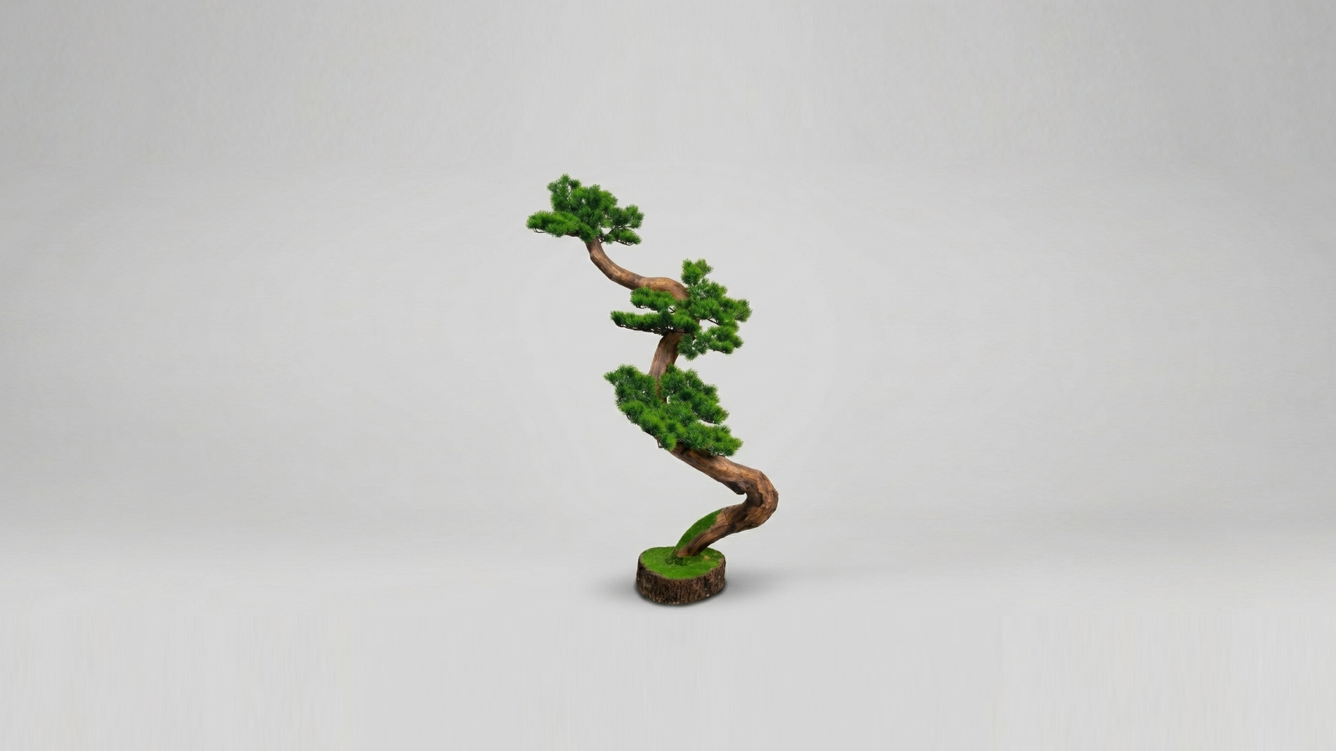 ccbv.png Artificial Bonsai Tree | Unique Decorative Bonsai Designs for Homes & Offices Nigeria - Image 1