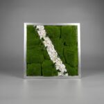 50cm x 50cm Framed Living Moss Wall Art | Premium Botanical Wall Décor Nigeria