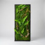 Woodland Majesty Luxury Artificial Moss Wall Art Panel 53cm x 122cm | Premium Botanical Wall Décor Nigeria