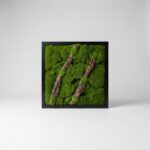 Framed Living Moss Art 50cm x 50cm | Premium Biophilic Wall Panel for Interior Décor Nigeria