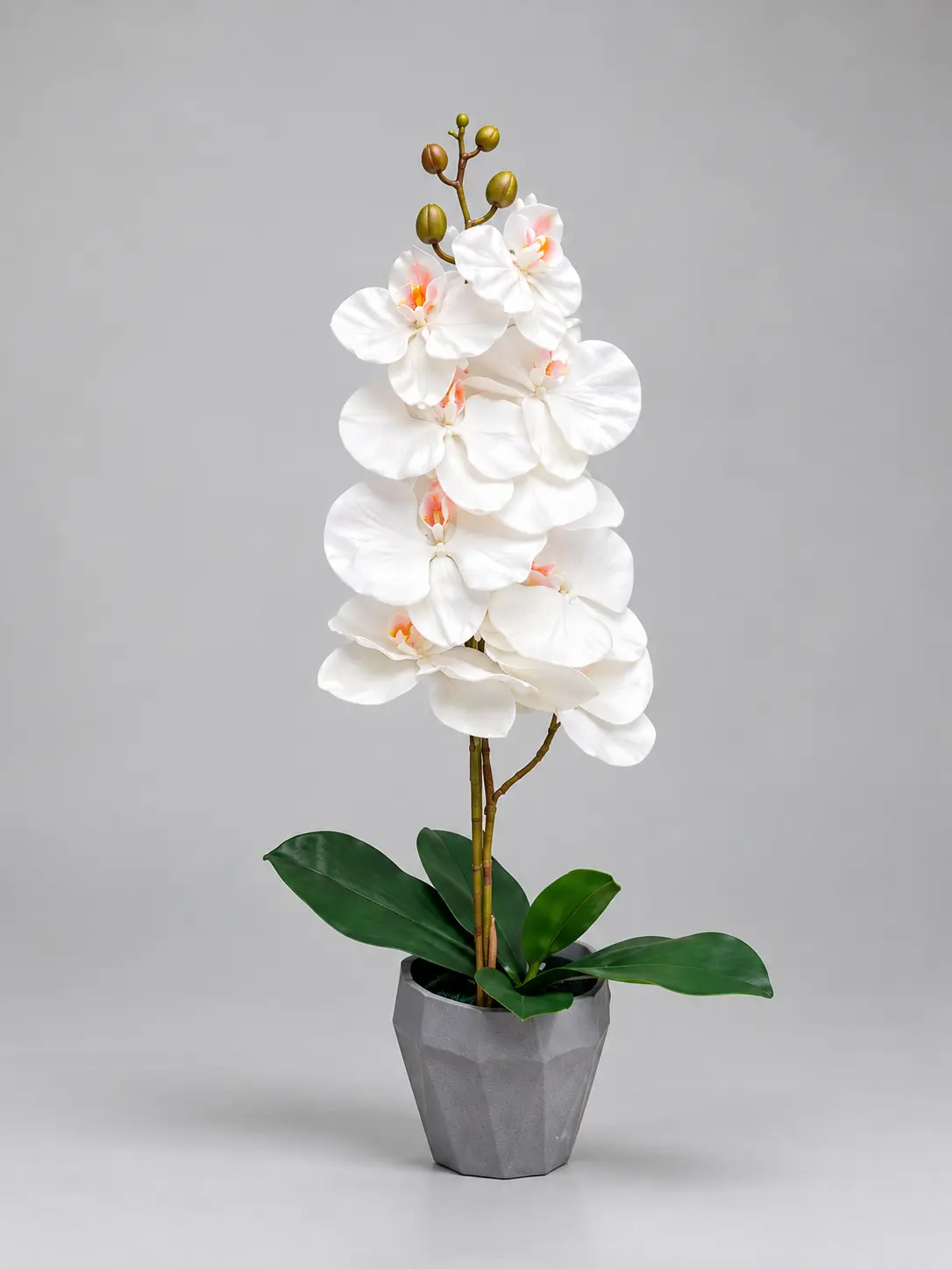 ChatGPT-Image-Sep-28-2026-04_20_27-PM.webp Artificial Orchid Plant 60cm | Elegant Decorative Orchid Plant Nigeria - Image 1
