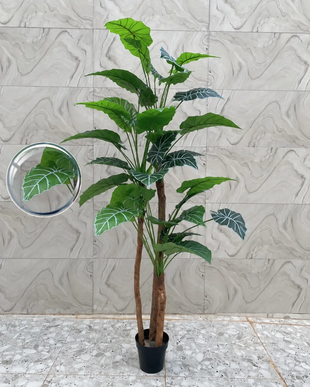 5 Artificial Green Taro Tree with White Lines 170cm | Nigeria - Image 1