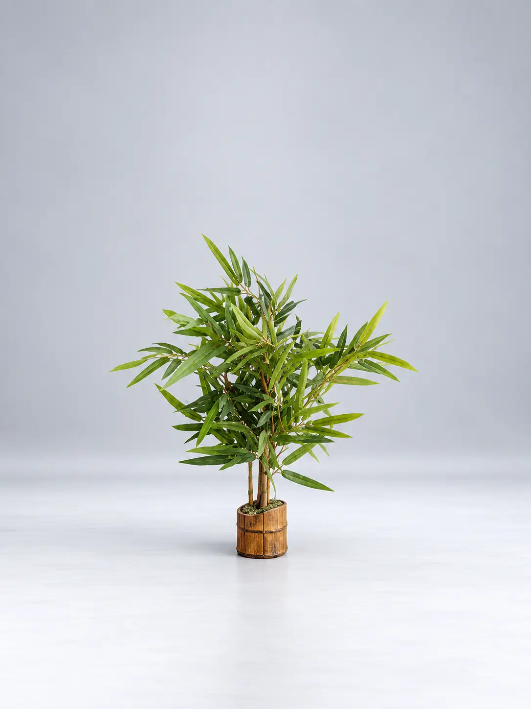 Minimalist-Bamboo-Plant-Studio-Portrait-1.webp Mini Bamboo Plant 60cm | Artificial Bamboo Plant Nigeria - Image 1