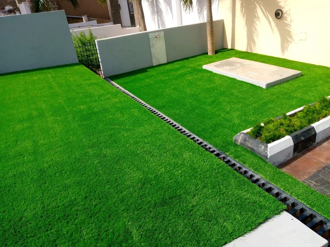 Carpet grass